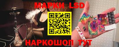 стаф Будённовск
